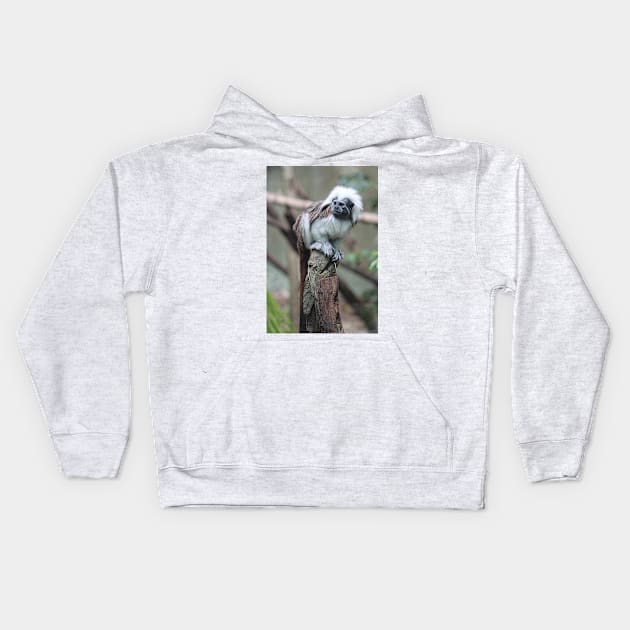 Cotton Top Tamarin Kids Hoodie by LeanneAllen